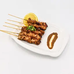 ساتي دجاج